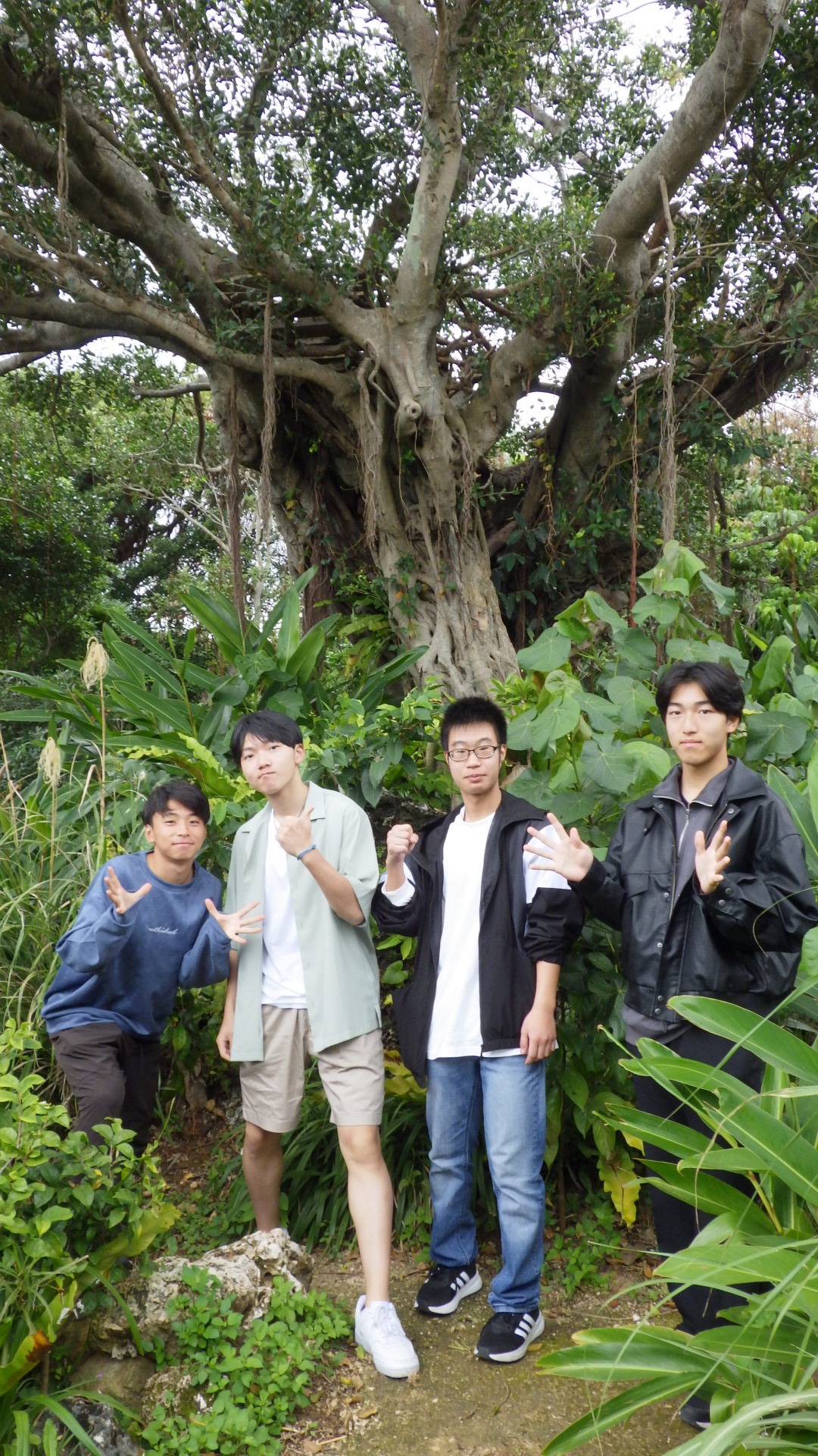 Image - 2026-02-11T155943.915